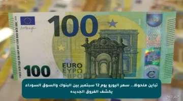 تباين ملحوظ.. سعر اليورو يوم 12 سبتمبر بين البنوك والسوق السوداء يكشف الفروق الجديدة